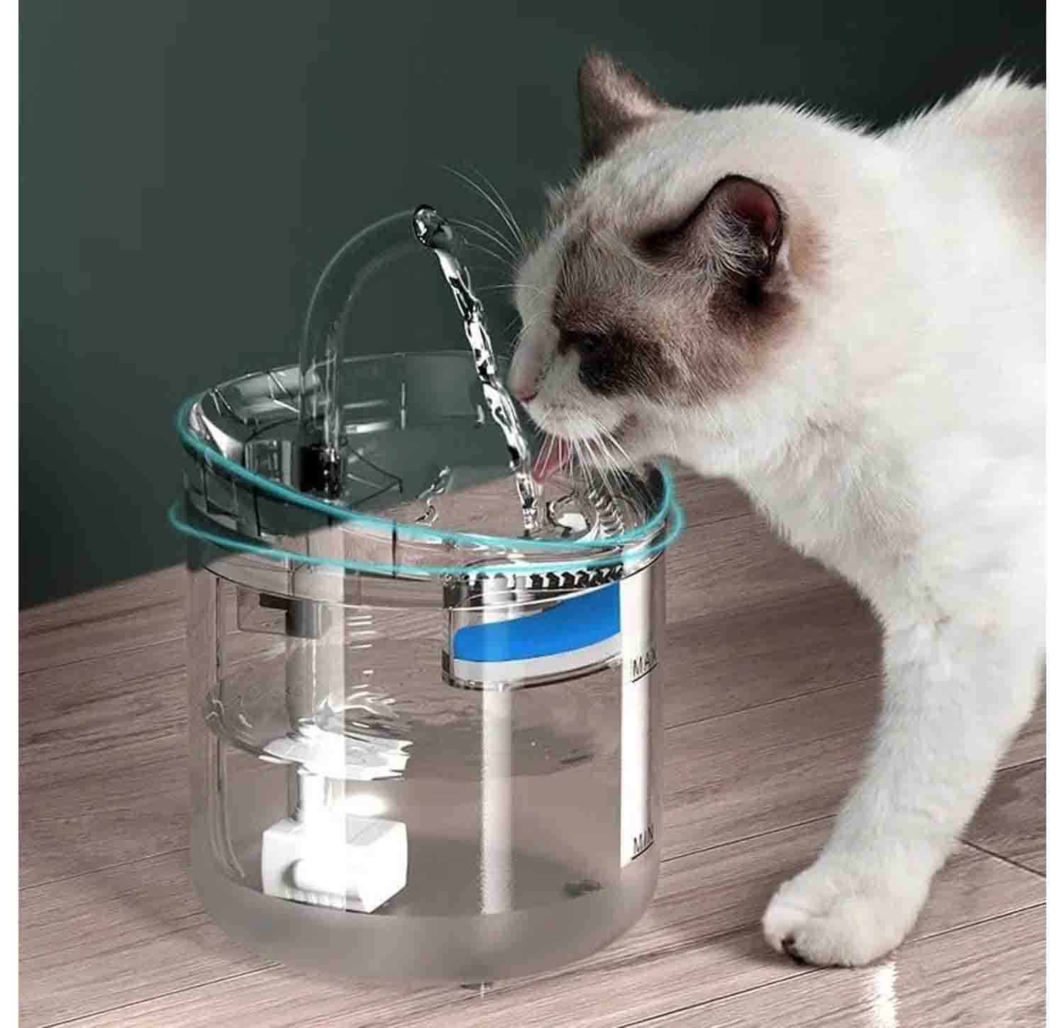 Cat Water Fountain, Smart Automatic Drinking Dispenser with Ultra-Quiet Pump, Filters, Auto Power-Off, and Transparent Design – Ideal for Indoor Cats and Small to Medium Dogs, 2L Capacity